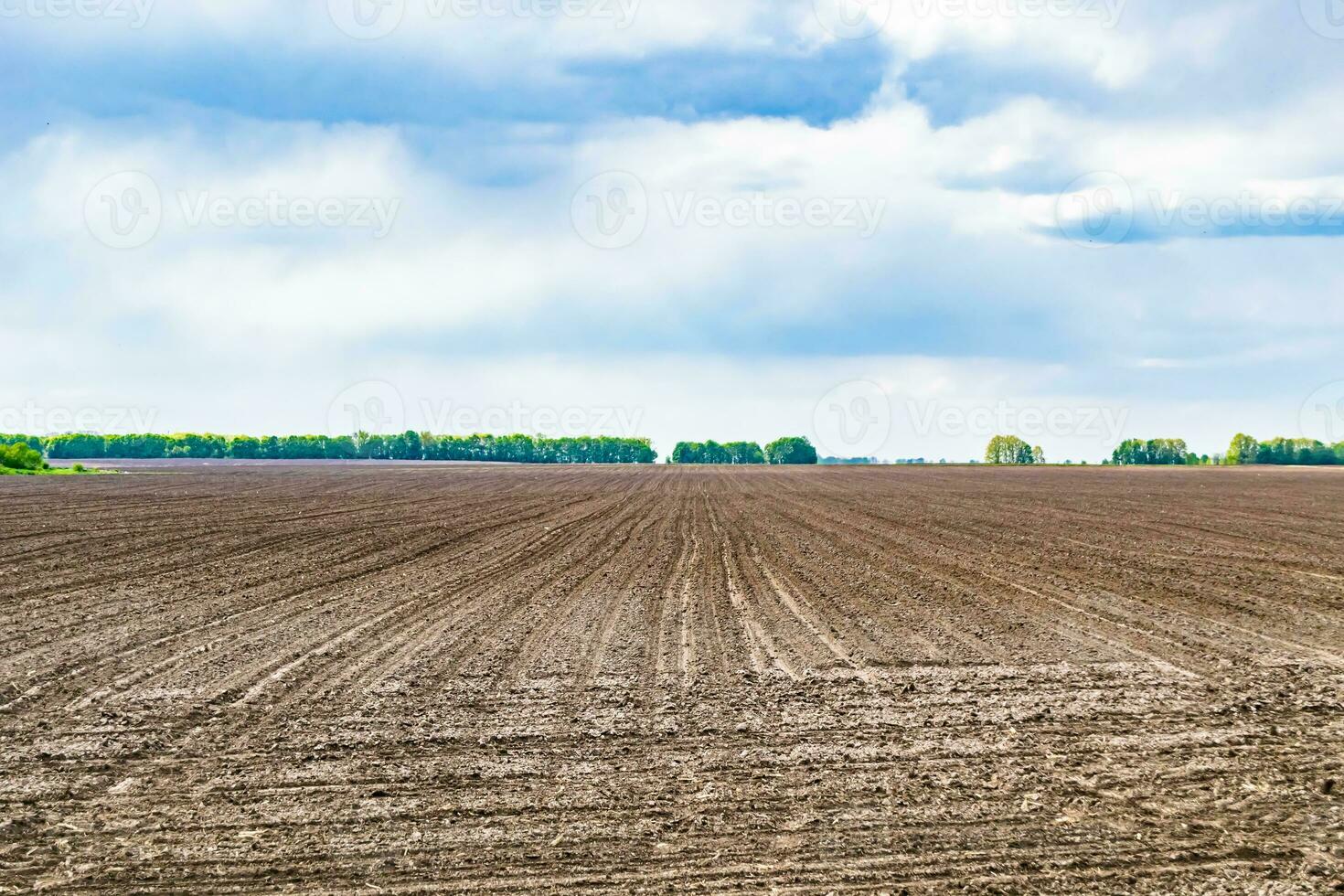 Photography on theme big empty farm field for organic harvest photo