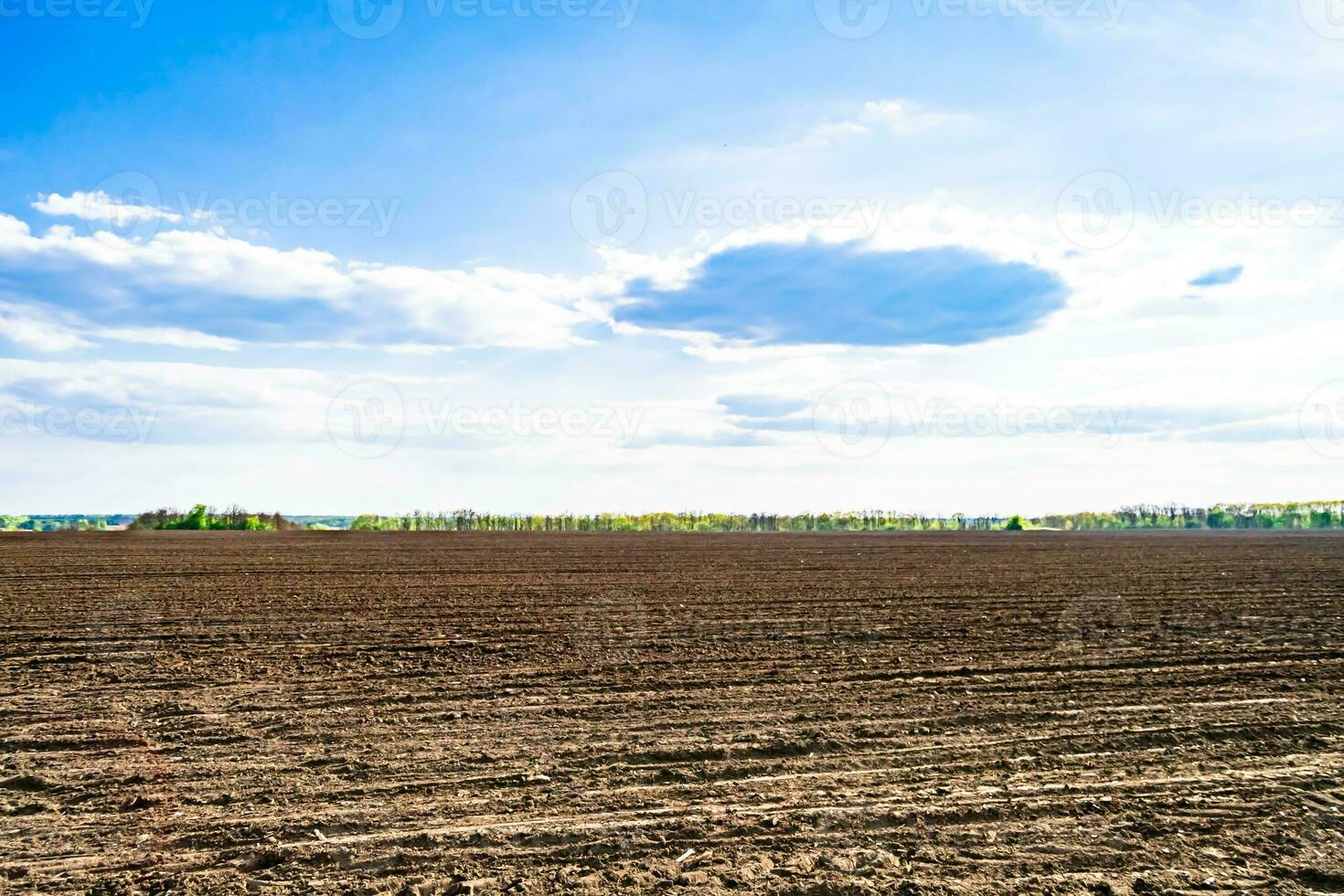 Photography on theme big empty farm field for organic harvest photo