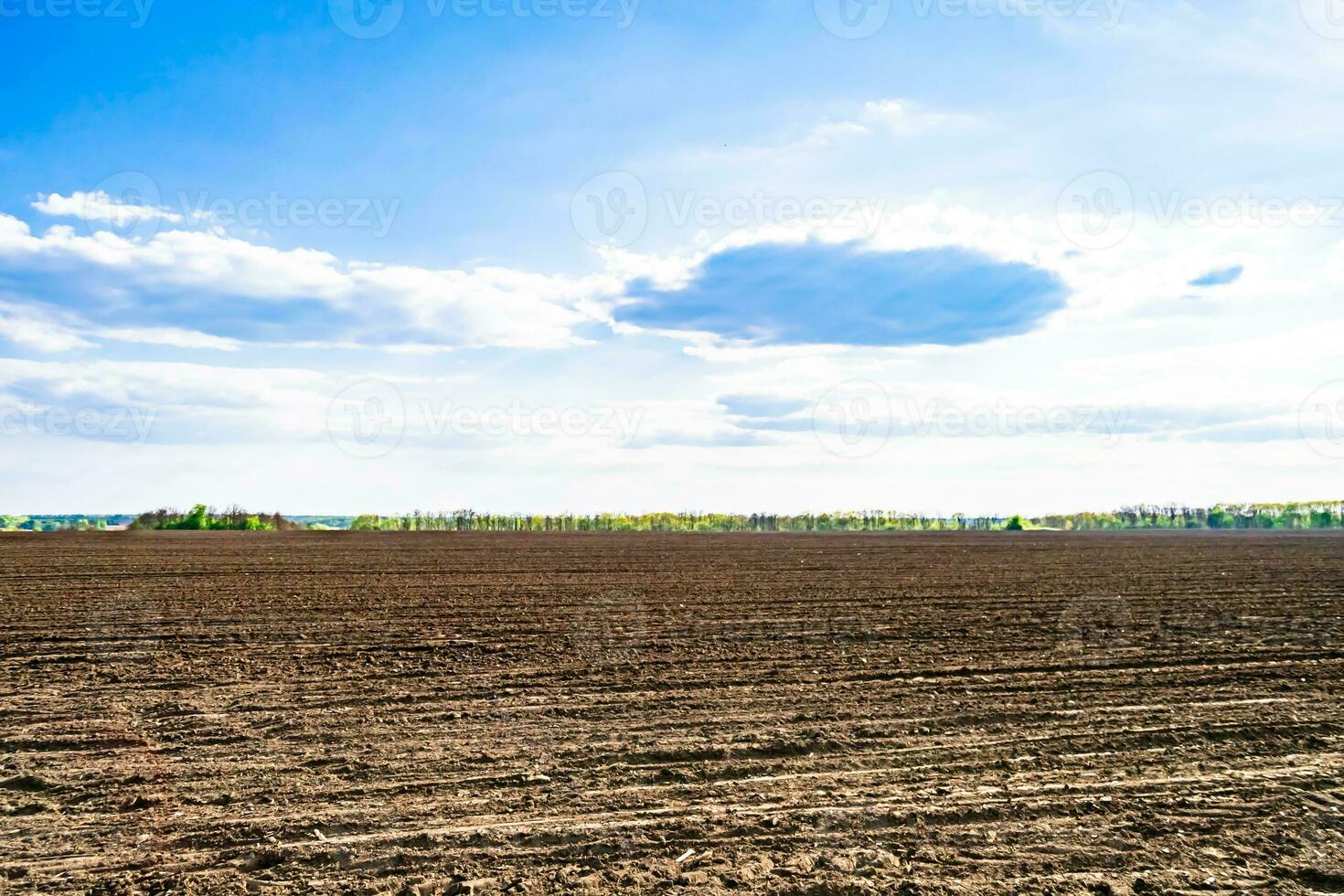 fotografía sobre el tema gran campo agrícola vacío para la cosecha orgánica foto