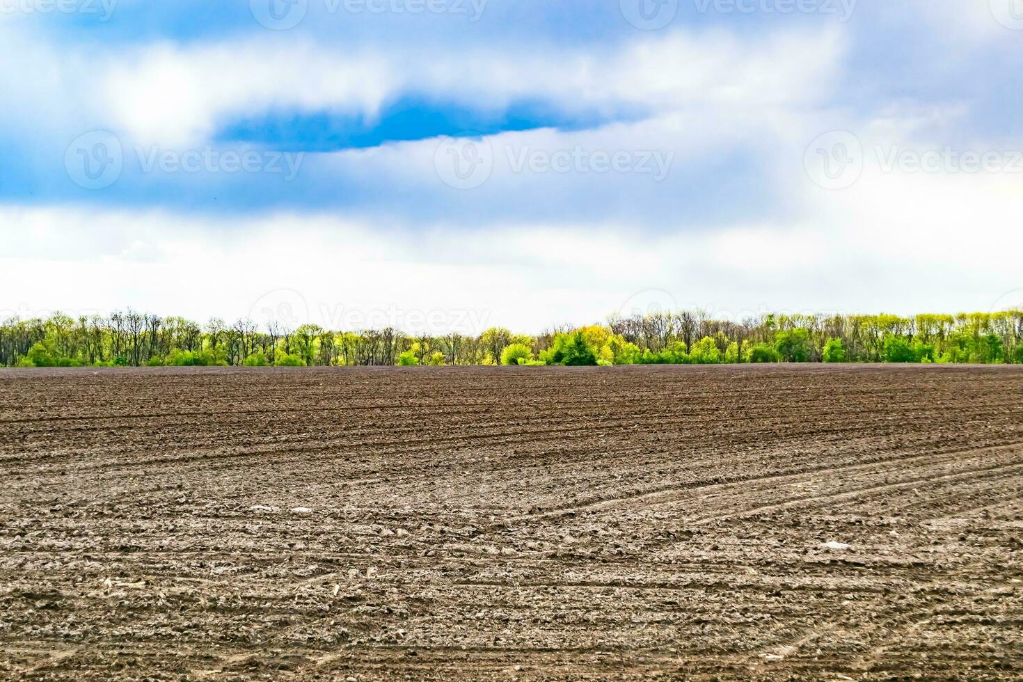 fotografía sobre el tema gran campo agrícola vacío para la cosecha orgánica foto