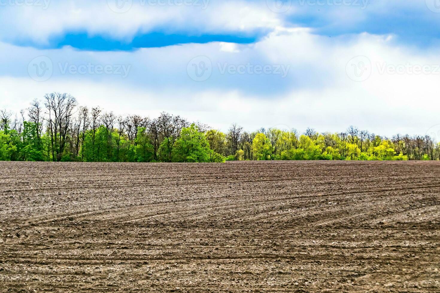 fotografía sobre el tema gran campo agrícola vacío para la cosecha orgánica foto