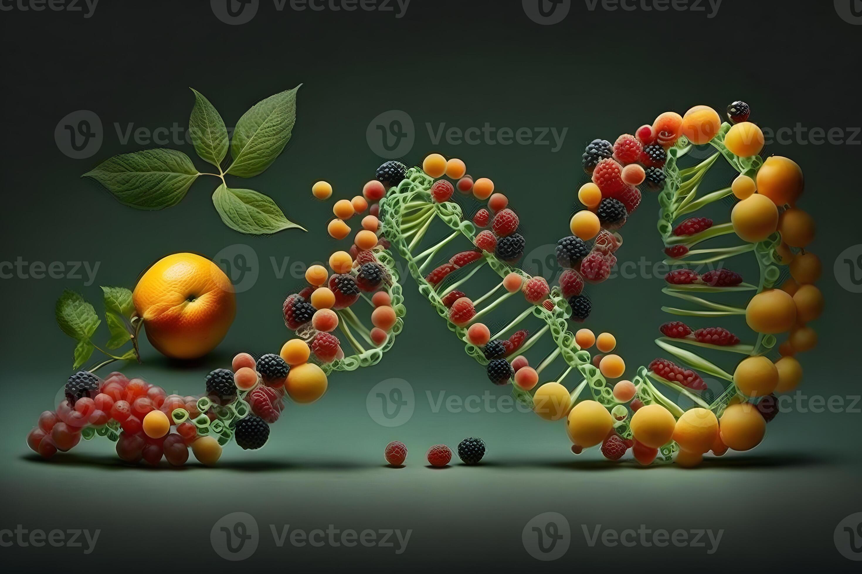 GMO food and Genetically modified crops or engineered agriculture ...