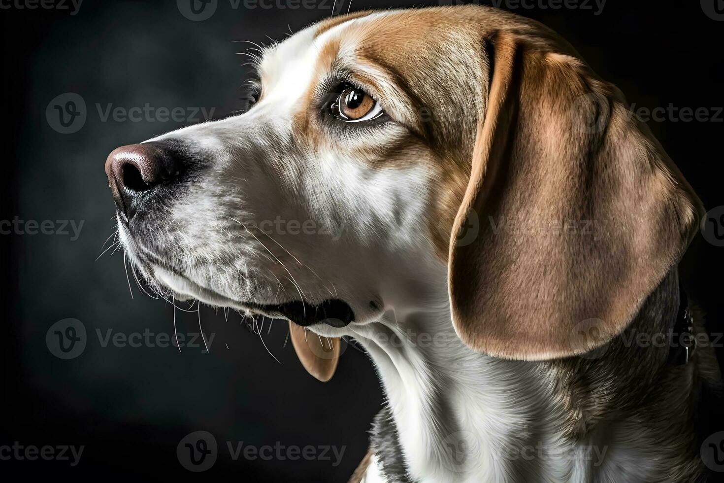 Beagle dog in portrait against black background. Neural network AI generated photo