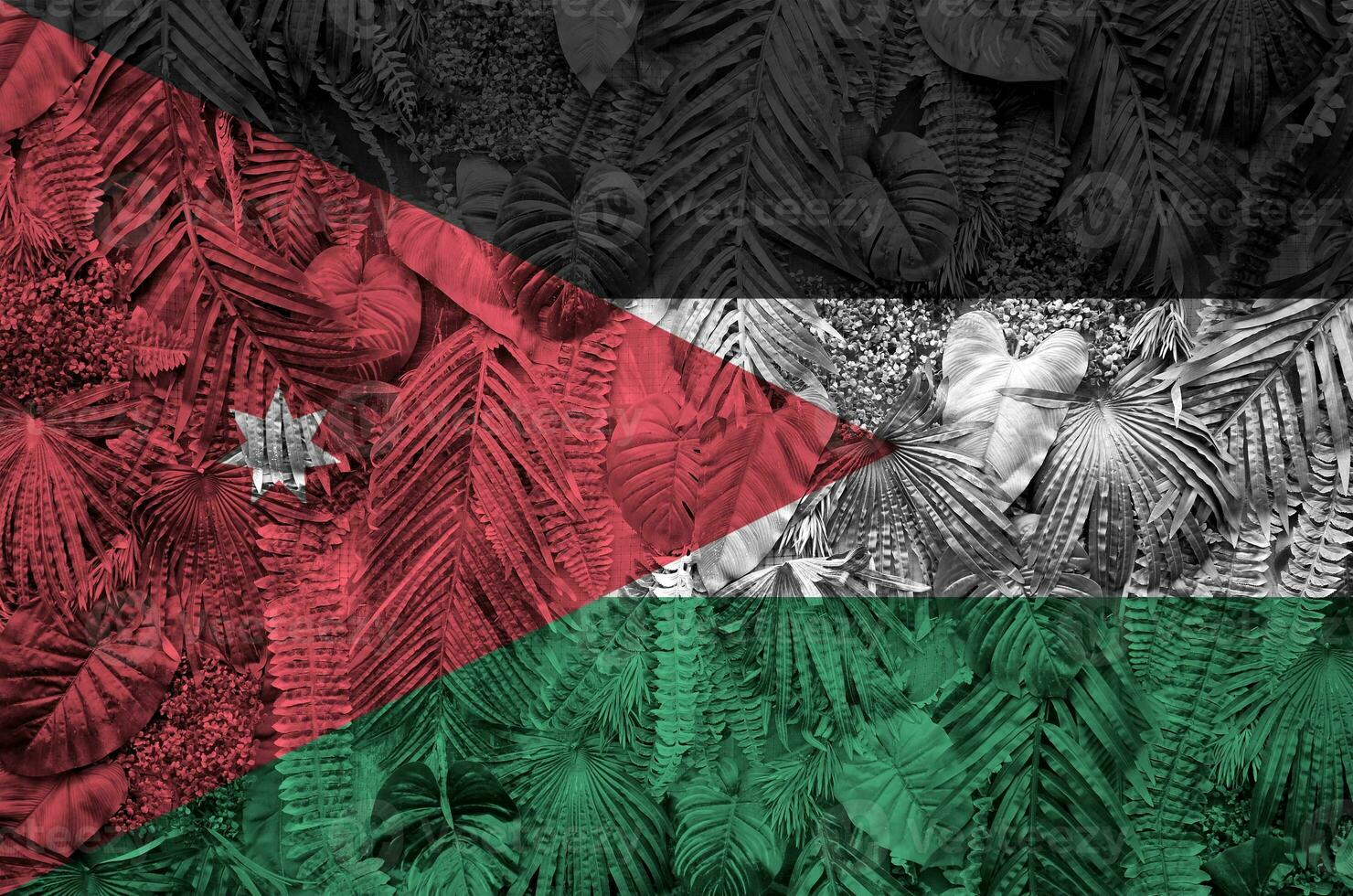 Jordan flag depicted on many leafs of monstera palm trees. Trendy fashionable backdrop photo