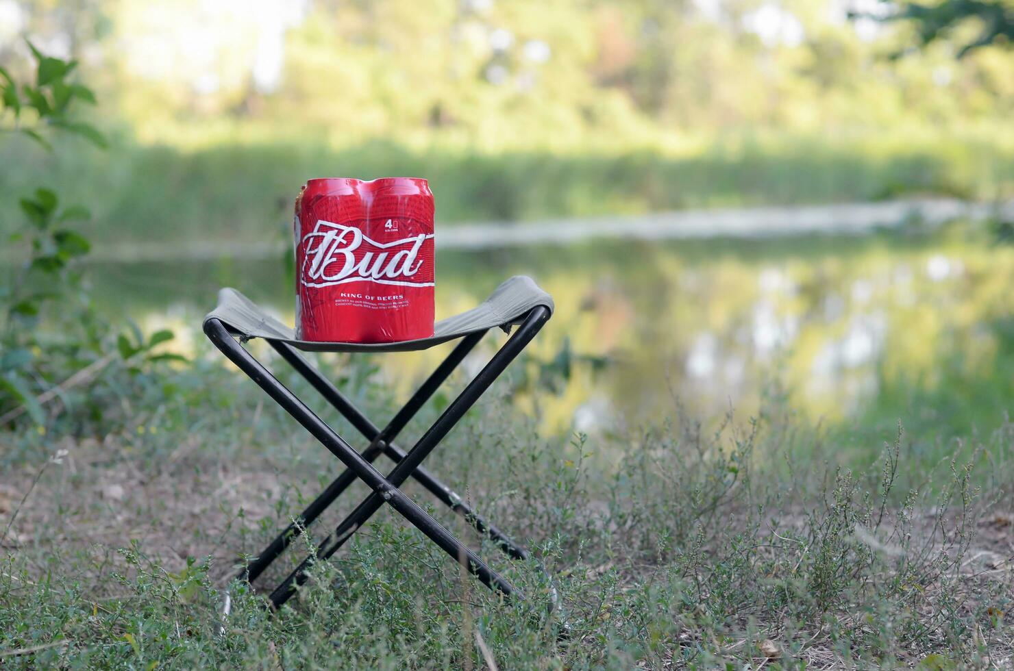 Budweiser Bud beer cans pack on folding chair outdoors at the river and green trees background photo