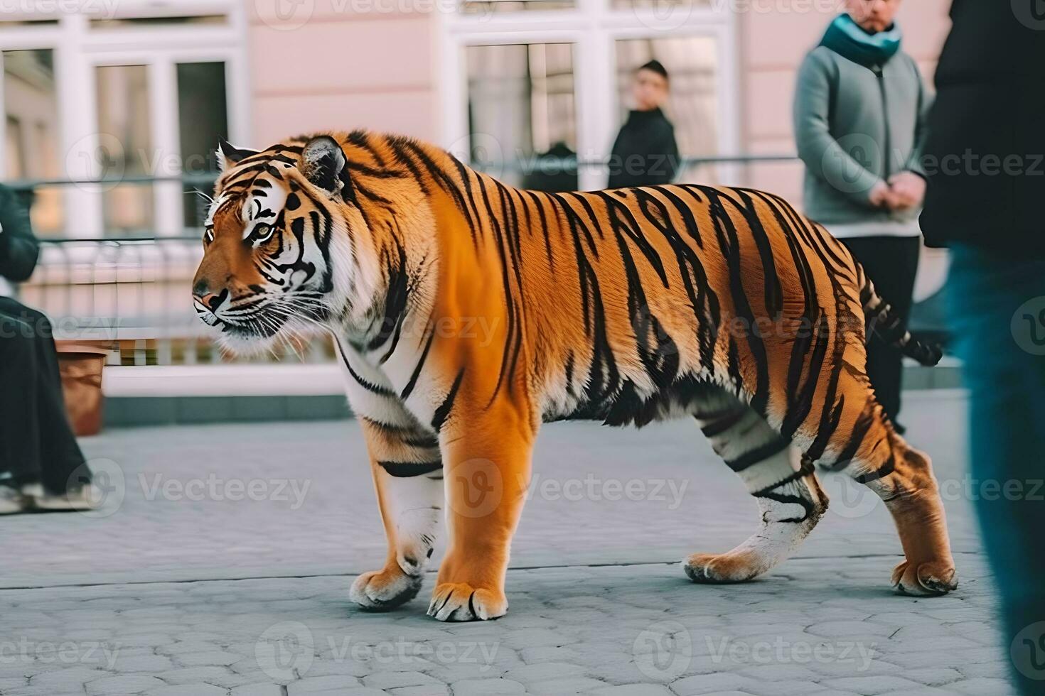 Urban Tiger Apocalypse. A tiger walking through urban ruins in a post-apocalypse like setting. Neural network AI generated photo