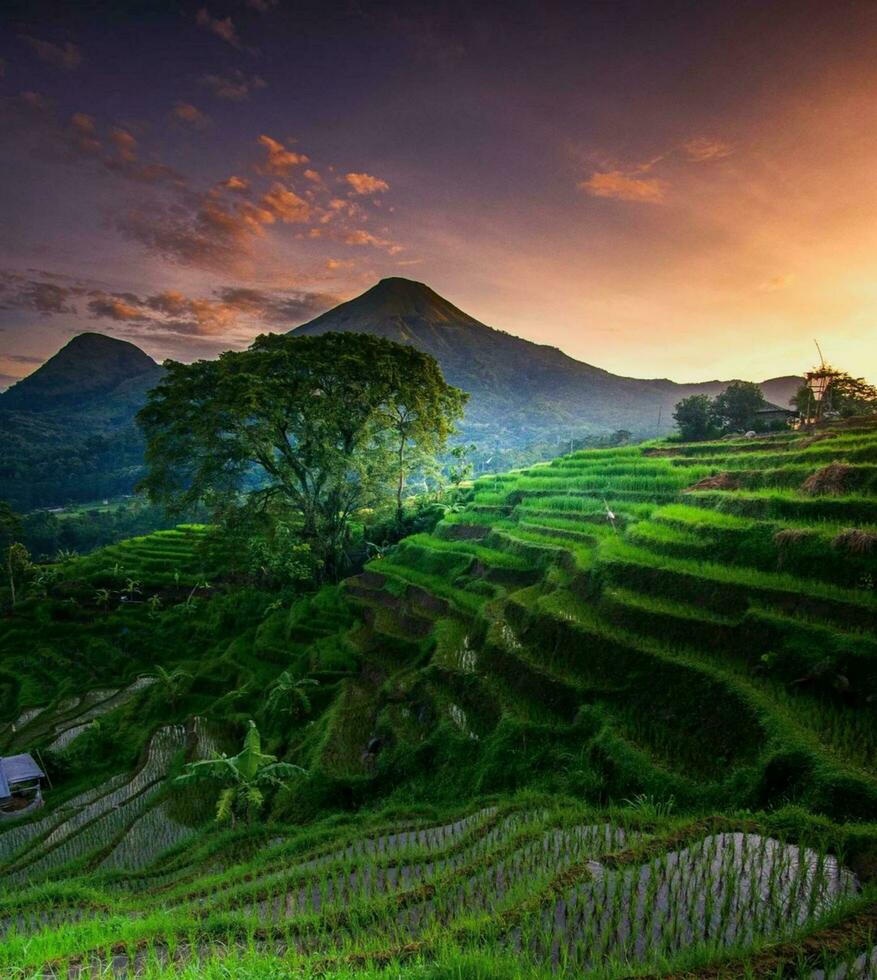 Tranquil Countryside Landscape at Sunset Captivating countryside farm with terraced fields and scenic mountain landscape. photo