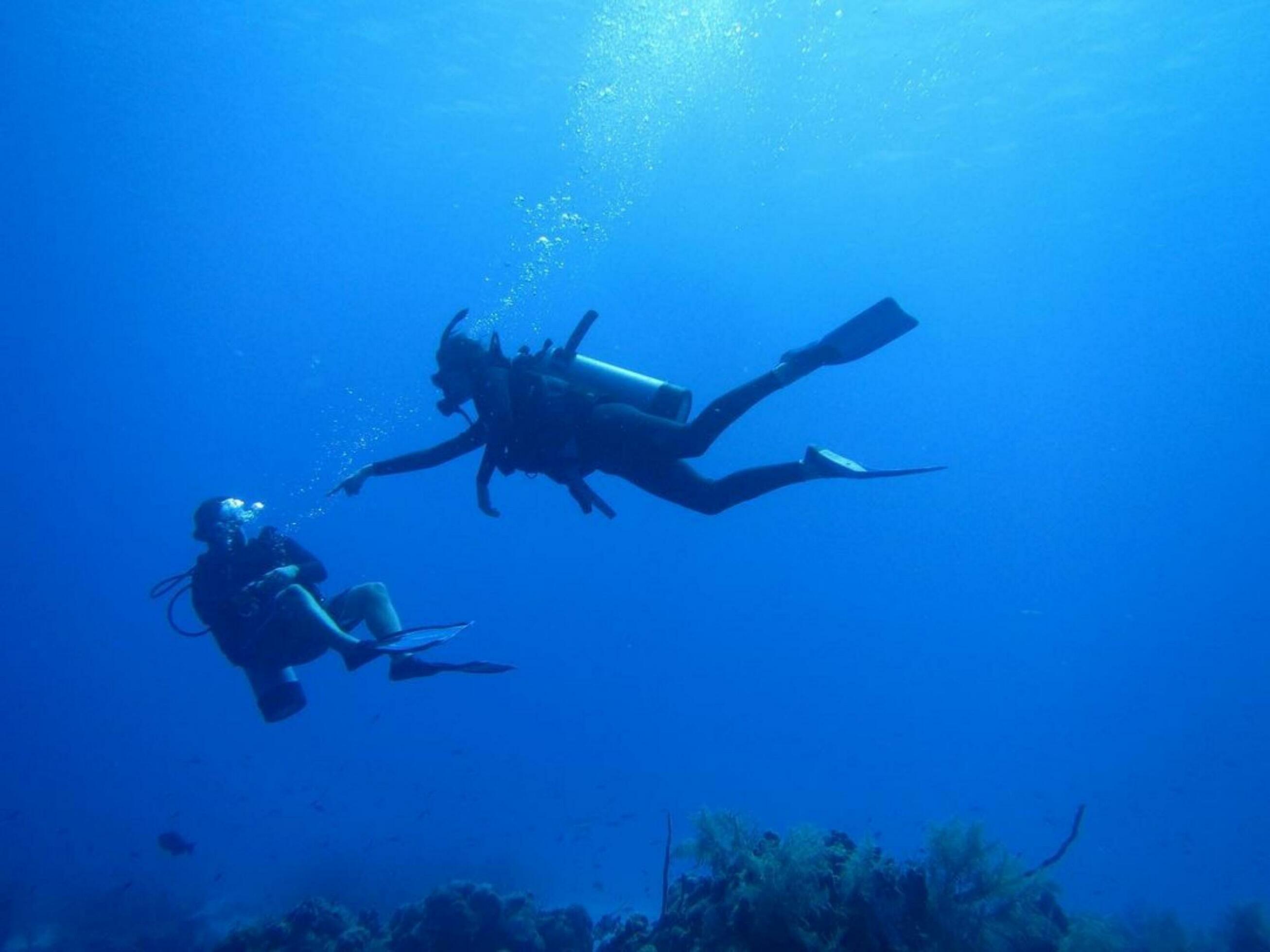 Fullyaquadic: The Ultimate Underwater Exploration Guide - w15picp
