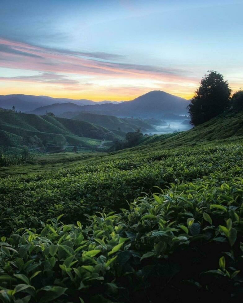 Tranquil Sunset over Green Countryside and Harvested Field Tranquil countryside landscape with green fields, mountains, and sunset sky. photo