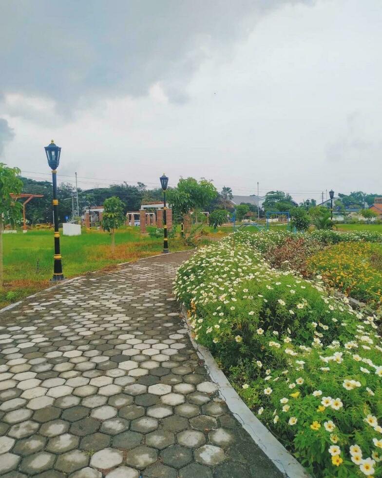 Very beautiful flower garden photo