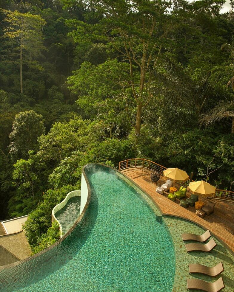 The view outside the hotel directly looks towards a green forest with a long swimming pool photo