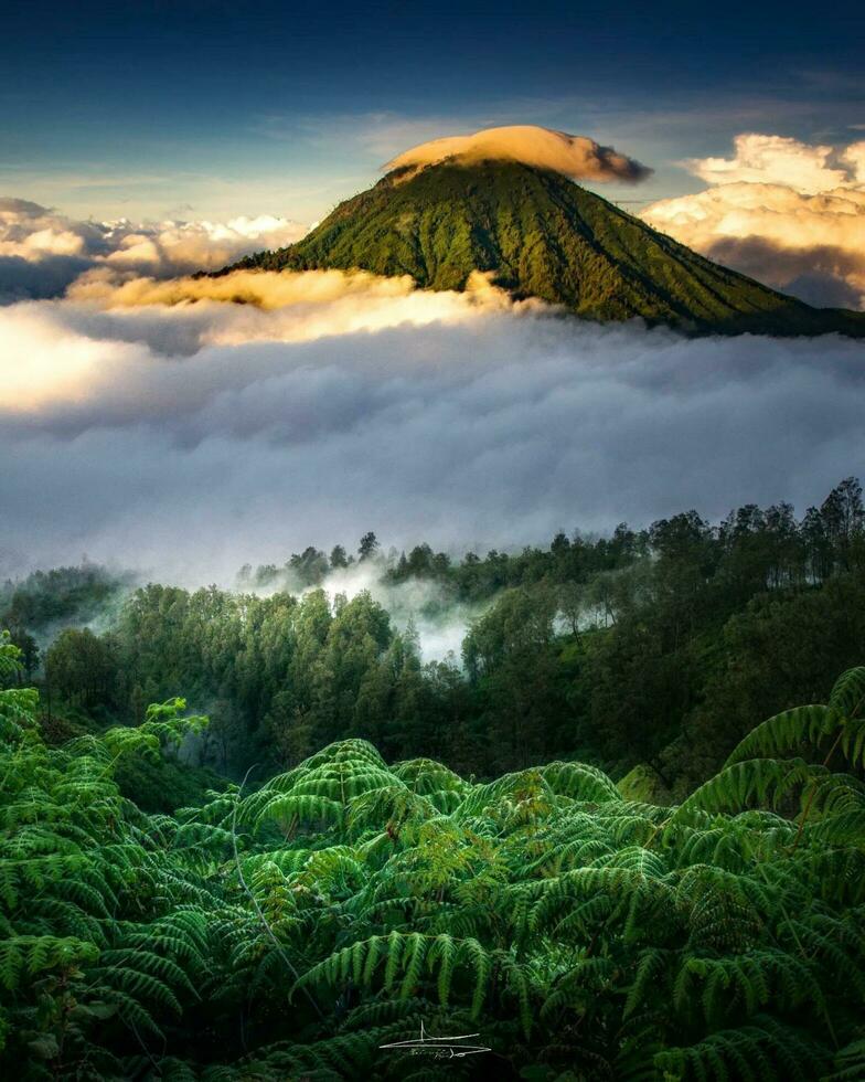 Serene Morning Landscape with Foggy Forest and Lush Green Foliage Serene forest in morning fog with green hills, blue sky, and sunlight. No people. photo