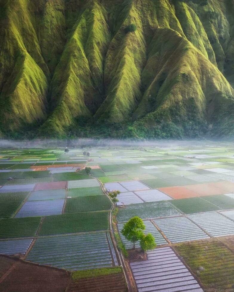 Tranquil Day by the Lush Water Green Foliage and Picturesque Landscape Enchanting nature scene luscious green foliage, tranquil water, towering trees. photo