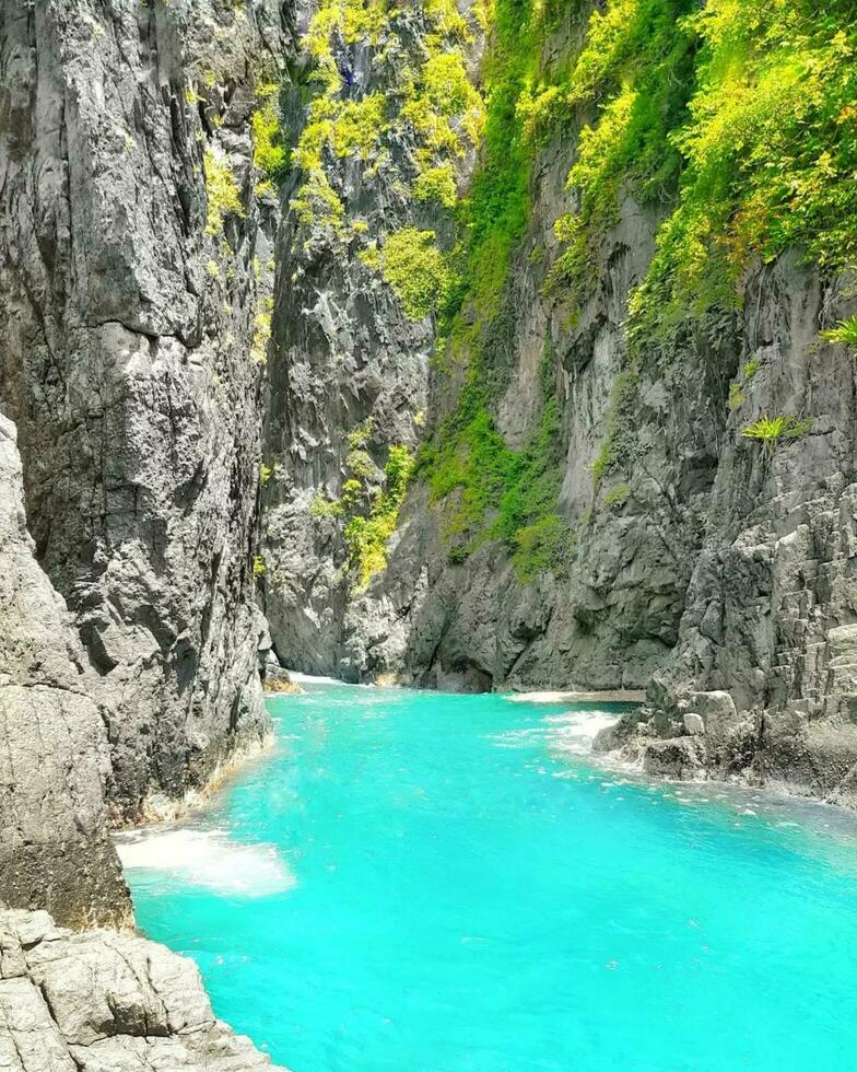 tranquilo costero paisaje turquesa agua, acantilados, y árbol tranquilo naturaleza turquesa mar, rocoso acantilados, lozano árboles, No gente. foto