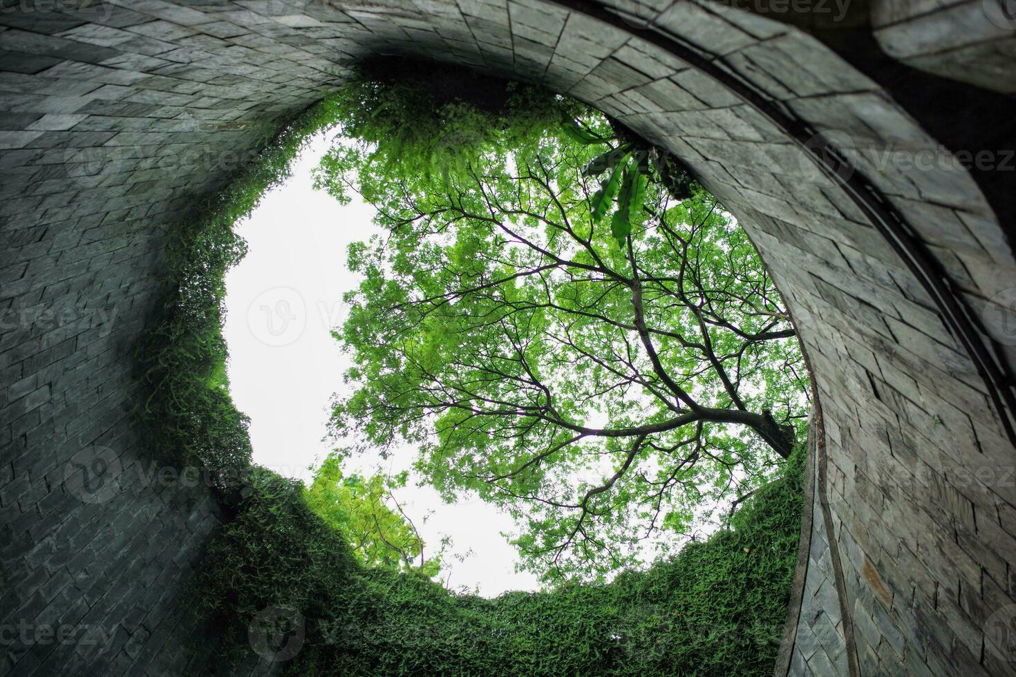 alto ángulo ver de redondo forma estructura con ramas de arboles en antecedentes foto