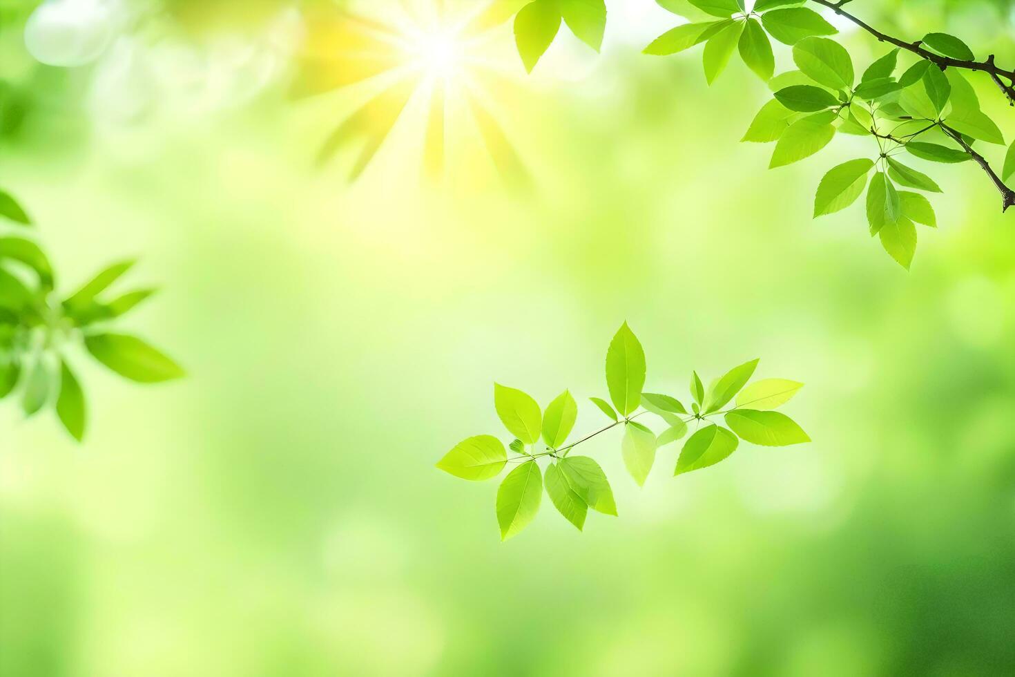 Sunny Green Stock Photos, Images and Backgrounds for Free Download