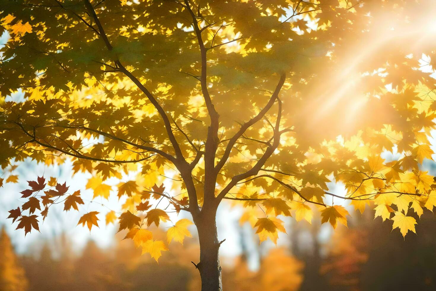 autumn leaves on a tree in the sun. AI-Generated photo