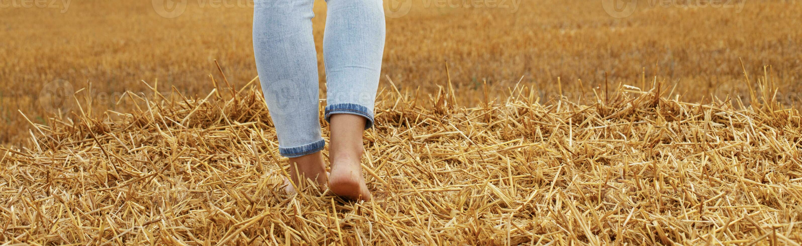 barefoot girl with sneakers and cardboard cup with coffee in hand stand in the agricultural field photo