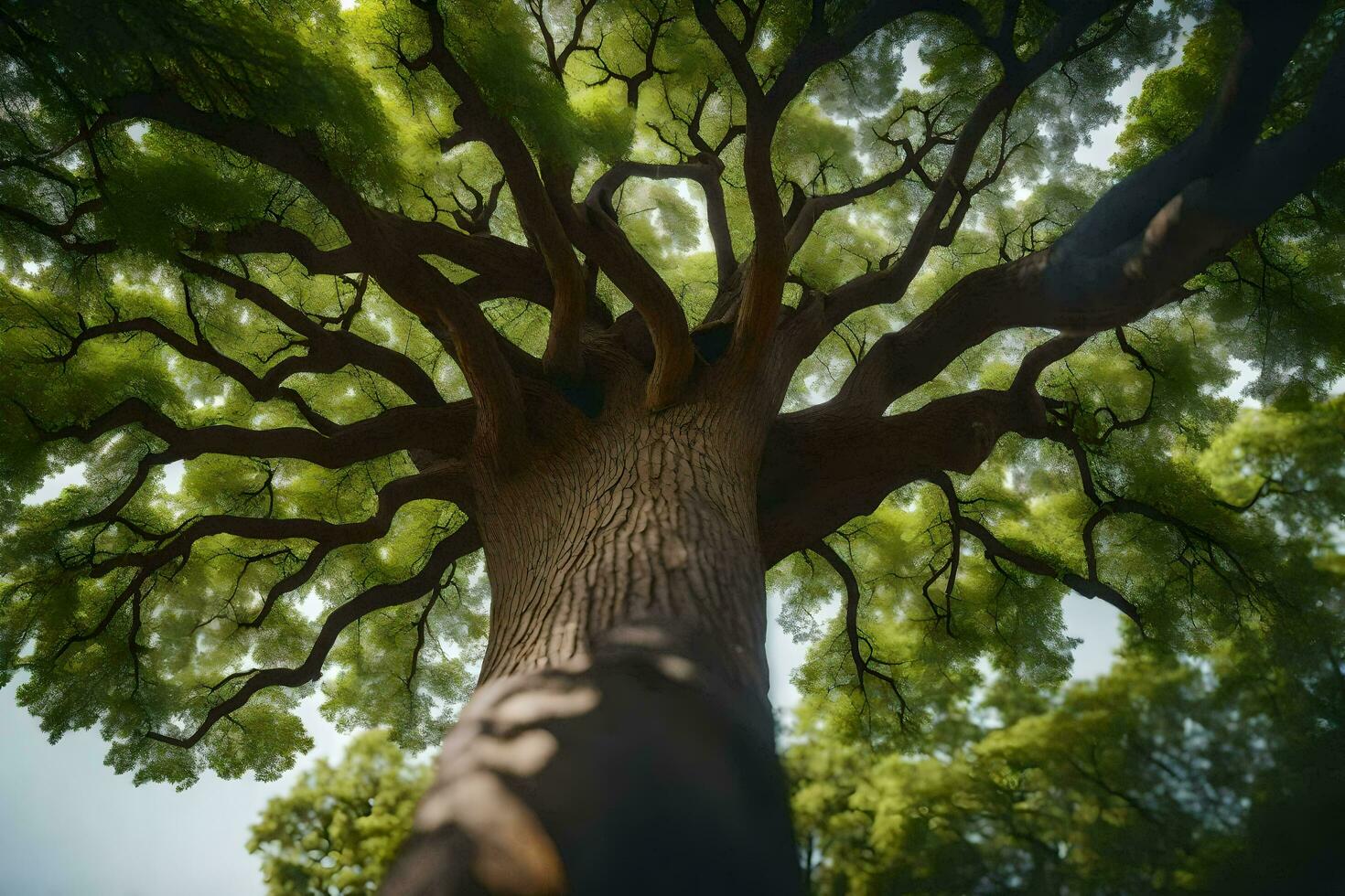 el del mundo más alto árbol es un baobab en sur África. generado por ai foto