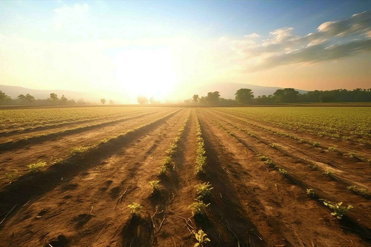 Beautiful view of a tea field plantation, vineyard farm or strawberry garden in the green hills at sunrise concept by AI Generated photo