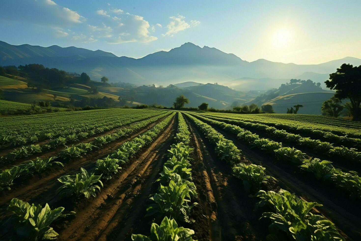 hermosa ver de un té campo plantación, viñedo granja o fresa jardín en el verde colinas a amanecer concepto por ai generado foto