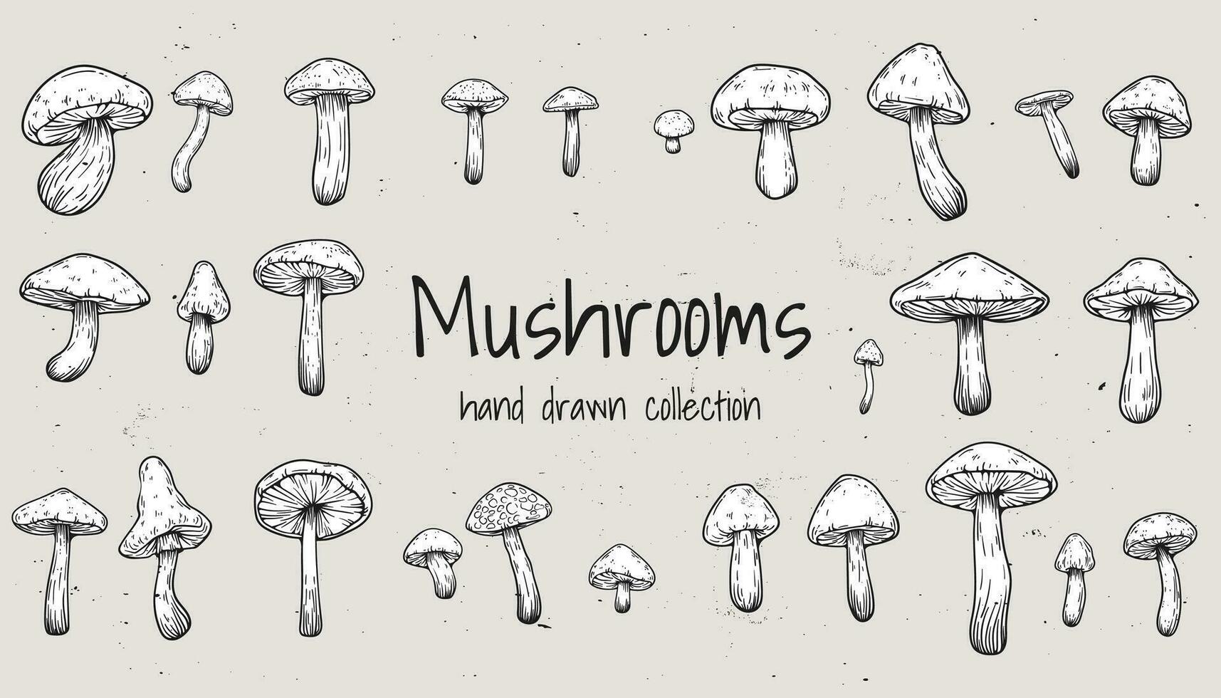 Set of hand drawn illustrations of various mushrooms champignons, fly agarics, white mushroom, oyster mushrooms. Perfect for adding a vintage and organic touch to culinary projects. Not AI generated. vector