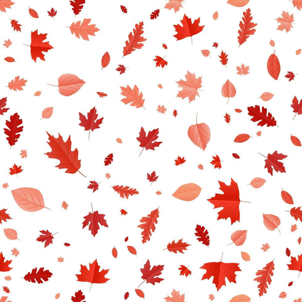 Autumn seamless pattern vector, autumn leaves for modern design, cards, and wallpapers, it captures the seasonal beauty of maple, oak, and birch leaf in a colorful, natural backdrop vector