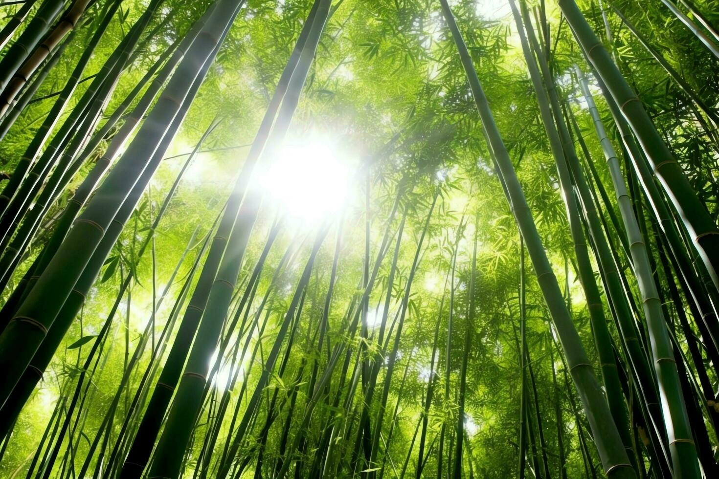 View of botanical green bamboo tropical forest in daylight. Oriental bamboo grove in china japanese concept by AI Generated photo