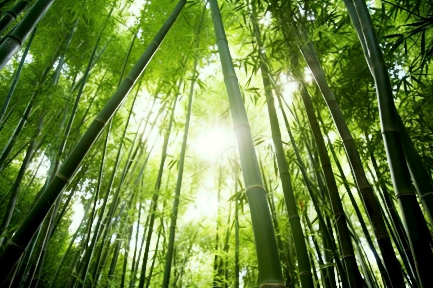 View of botanical green bamboo tropical forest in daylight. Oriental bamboo grove in china japanese concept by AI Generated photo