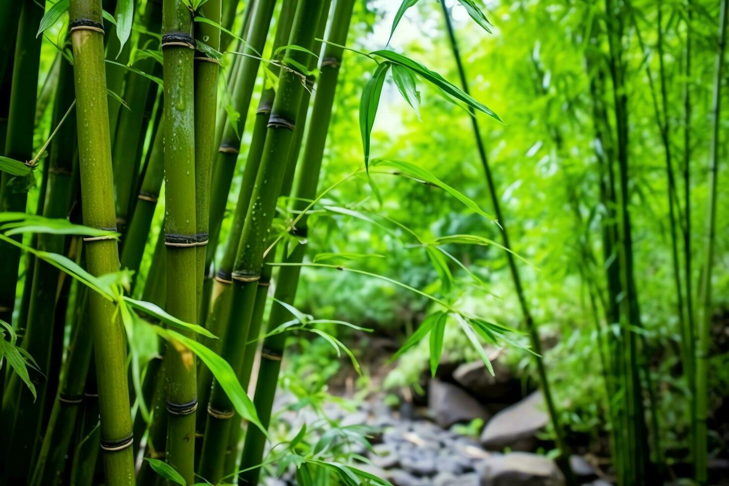 View of botanical green bamboo tropical forest in daylight. Oriental bamboo grove in china japanese concept by AI Generated photo