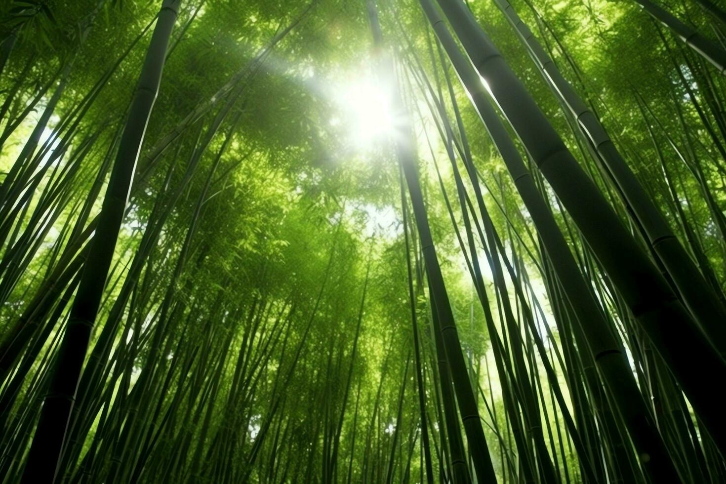 View of botanical green bamboo tropical forest in daylight. Oriental bamboo grove in china japanese concept by AI Generated photo