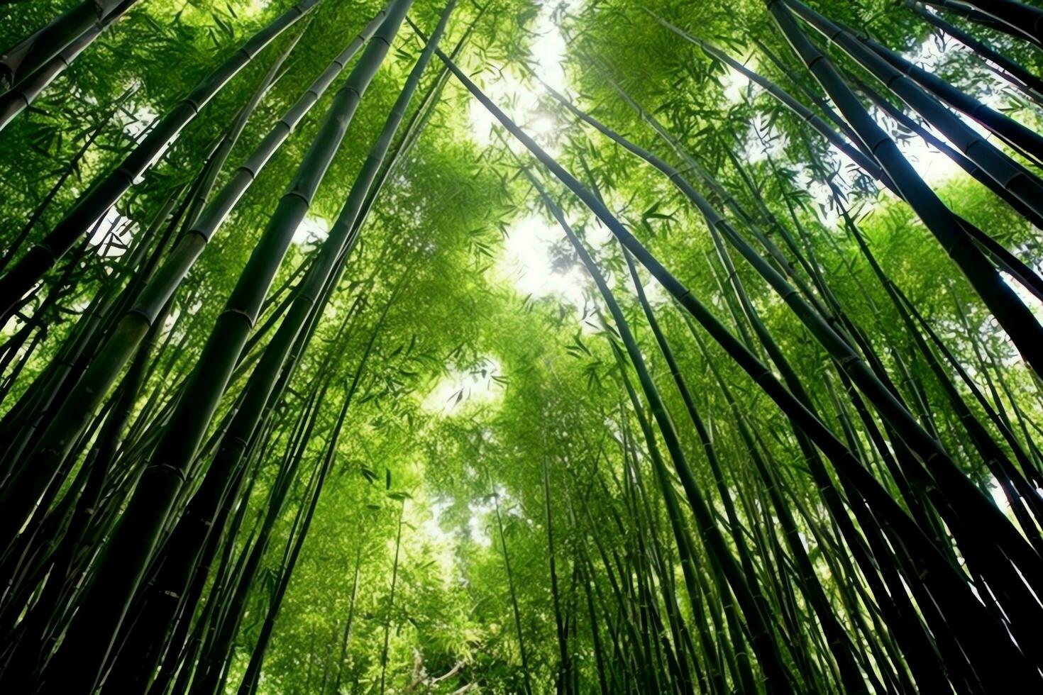 View of botanical green bamboo tropical forest in daylight. Oriental bamboo grove in china japanese concept by AI Generated photo