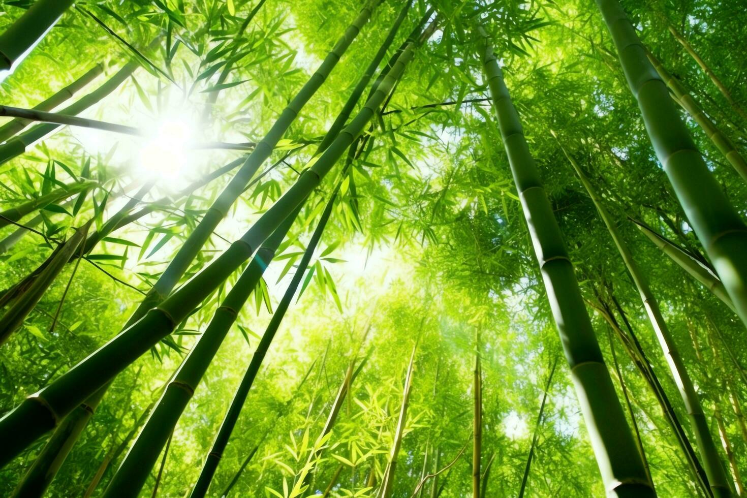 View of botanical green bamboo tropical forest in daylight. Oriental bamboo grove in china japanese concept by AI Generated photo