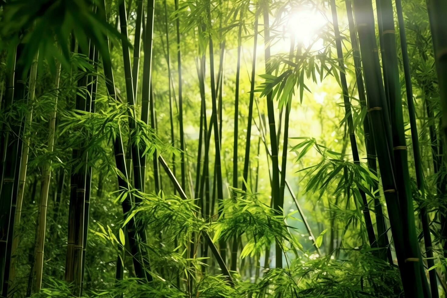 View of botanical green bamboo tropical forest in daylight. Oriental bamboo grove in china japanese concept by AI Generated photo