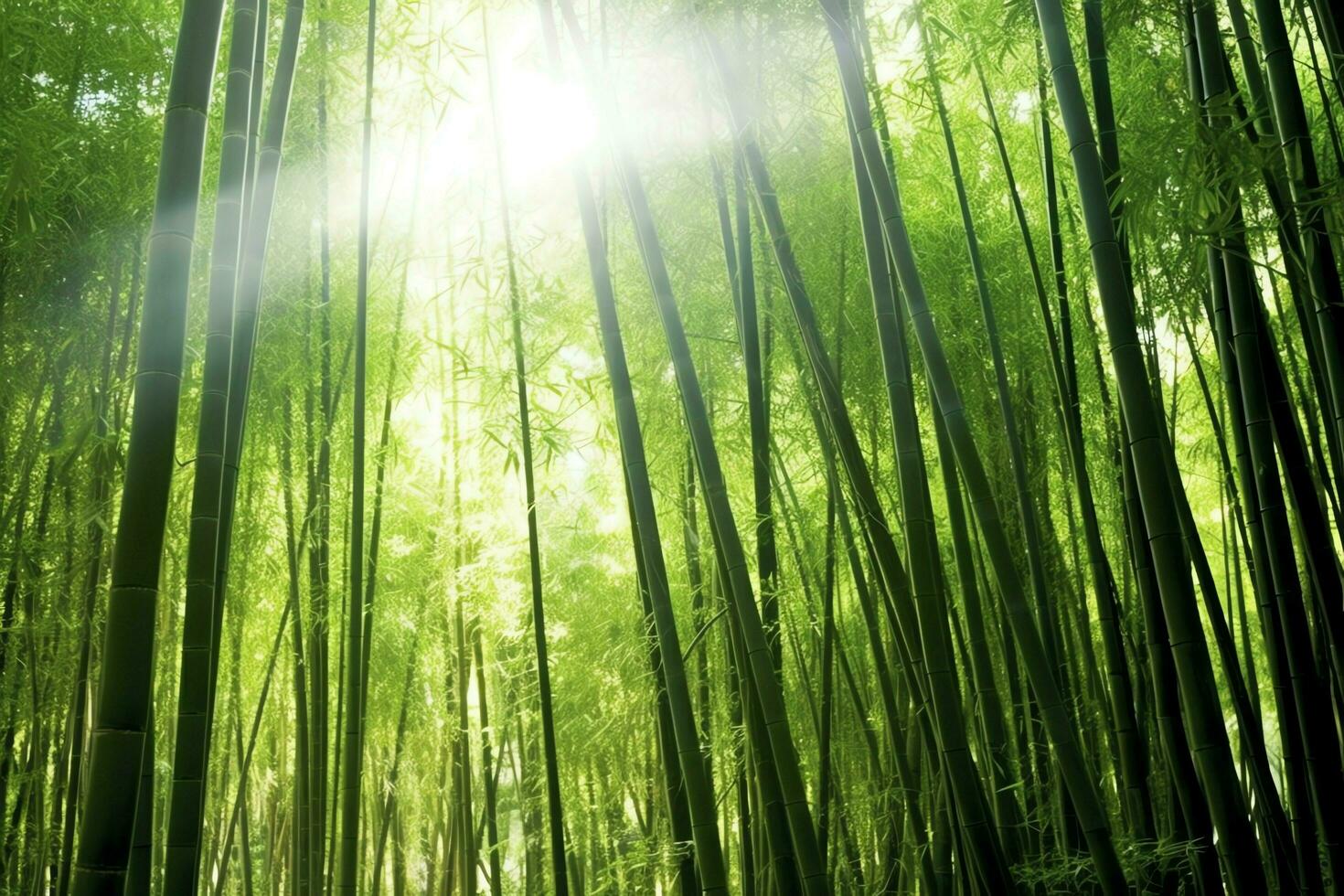 View of botanical green bamboo tropical forest in daylight. Oriental bamboo grove in china japanese concept by AI Generated photo