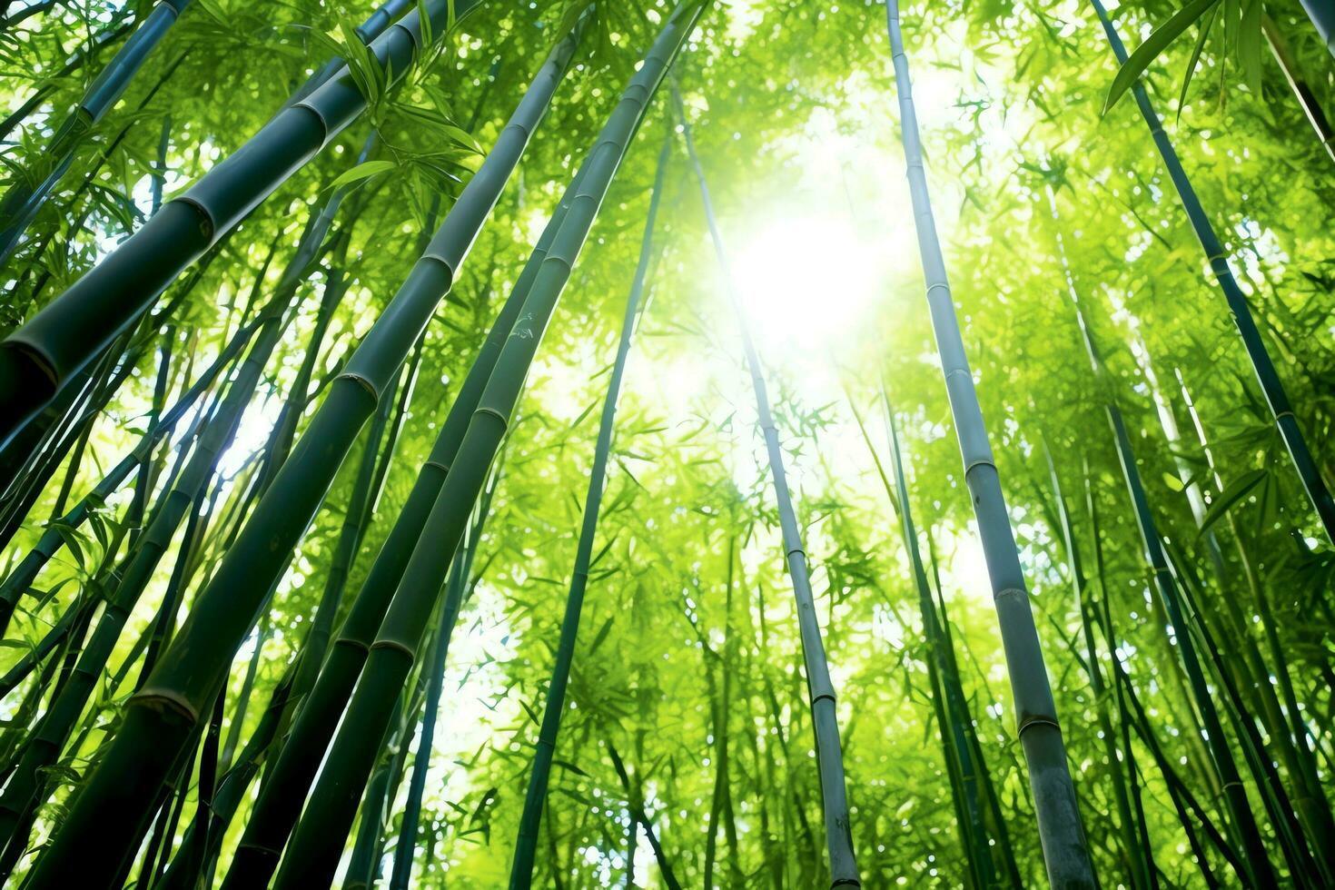 View of botanical green bamboo tropical forest in daylight. Oriental bamboo grove in china japanese concept by AI Generated photo