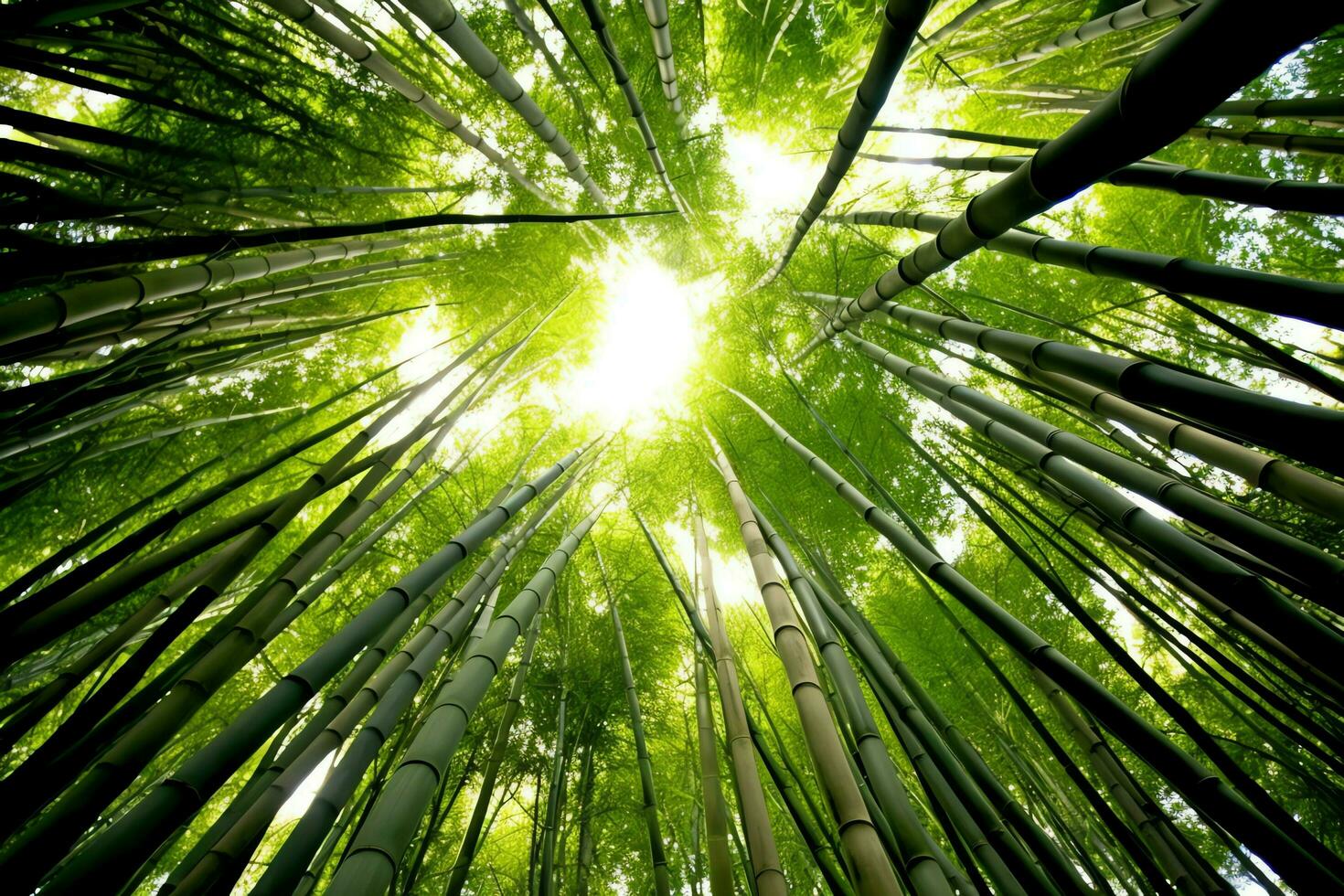 View of botanical green bamboo tropical forest in daylight. Oriental bamboo grove in china japanese concept by AI Generated photo