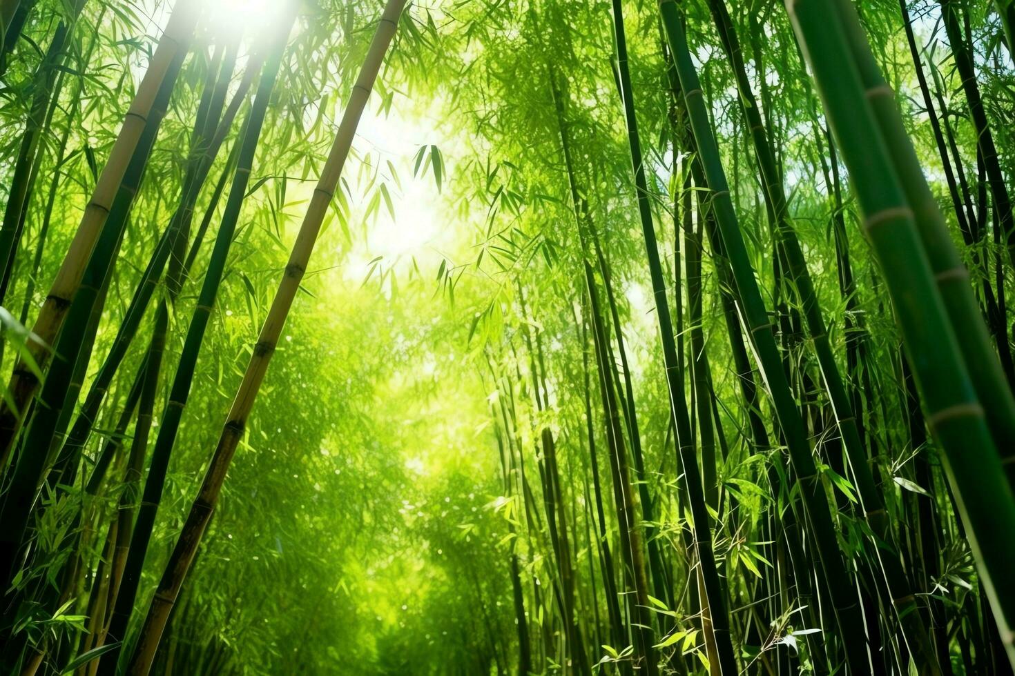 View of botanical green bamboo tropical forest in daylight. Oriental bamboo grove in china japanese concept by AI Generated photo