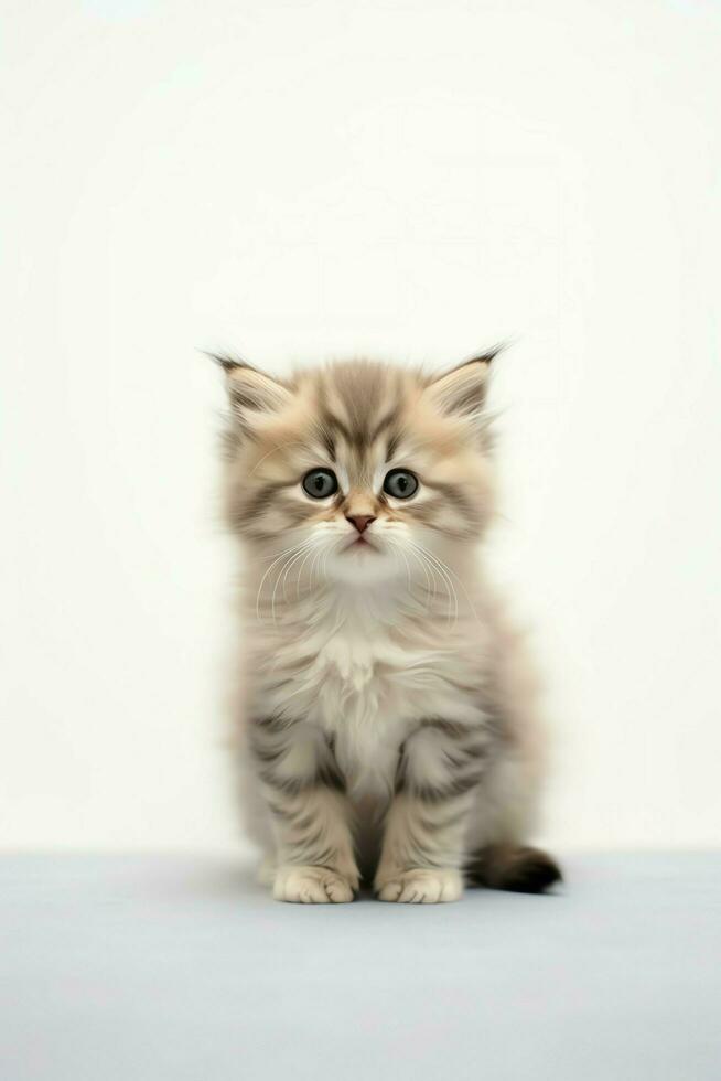 Cute small fluffy kitten with beautiful eyes is sitting or resting. British shorthair. Cat day concept by AI Generated photo