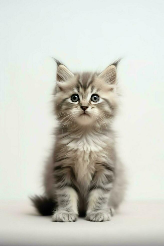 Cute small fluffy kitten with beautiful eyes is sitting or resting. British shorthair. Cat day concept by AI Generated photo