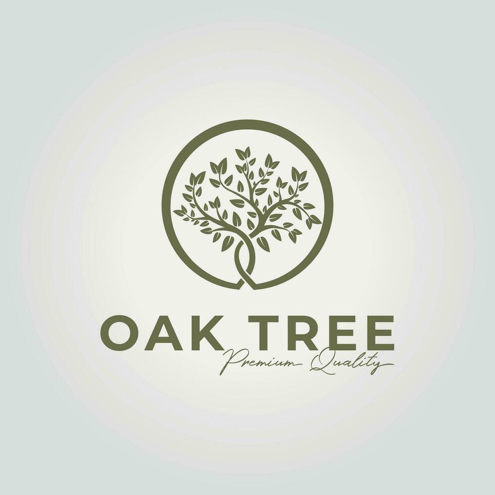 oak tree logo design emblem, vintage acacia or olive or eden icon vector illustration