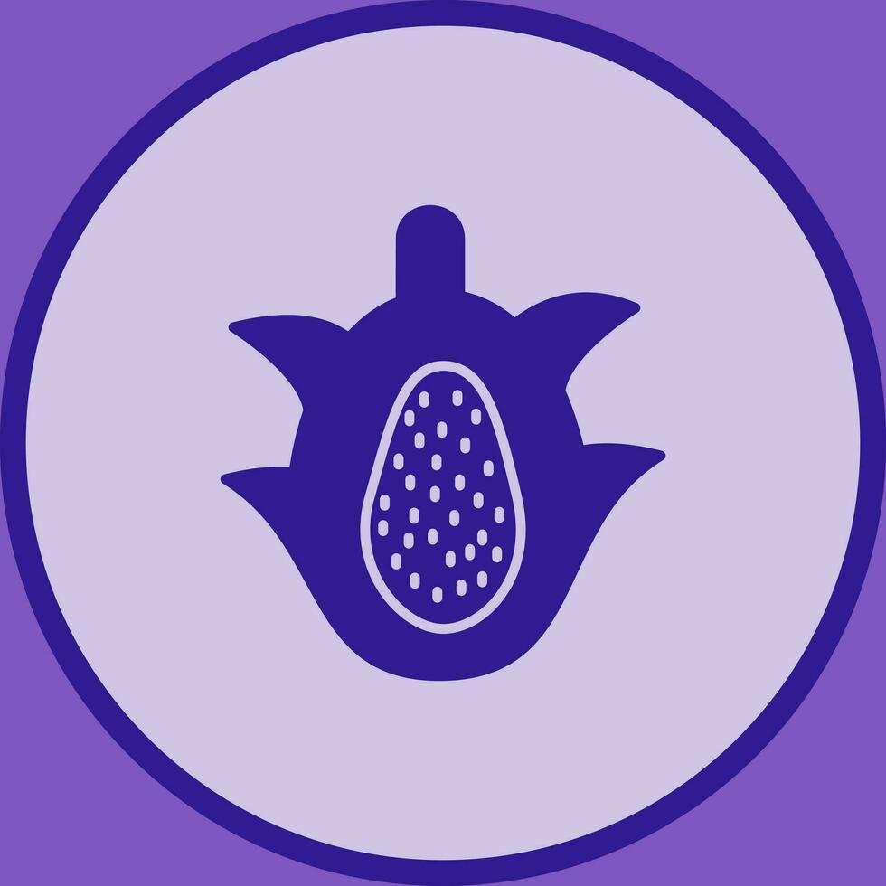 Dragon Fruit Vector Icon