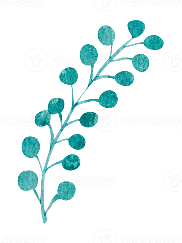 gröna blad akvarell png