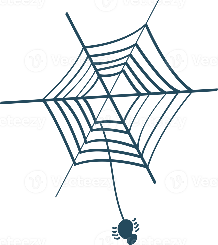 a spider on the cobweb png