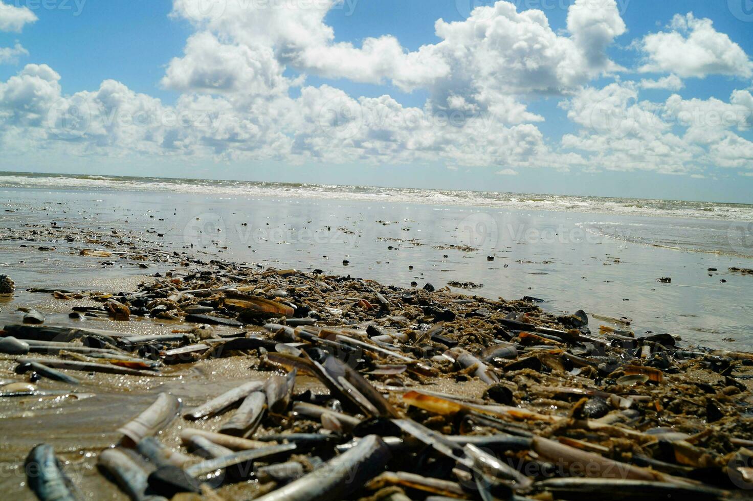 impresiones de el interminable playa a el del Norte mar en blavand Dinamarca foto