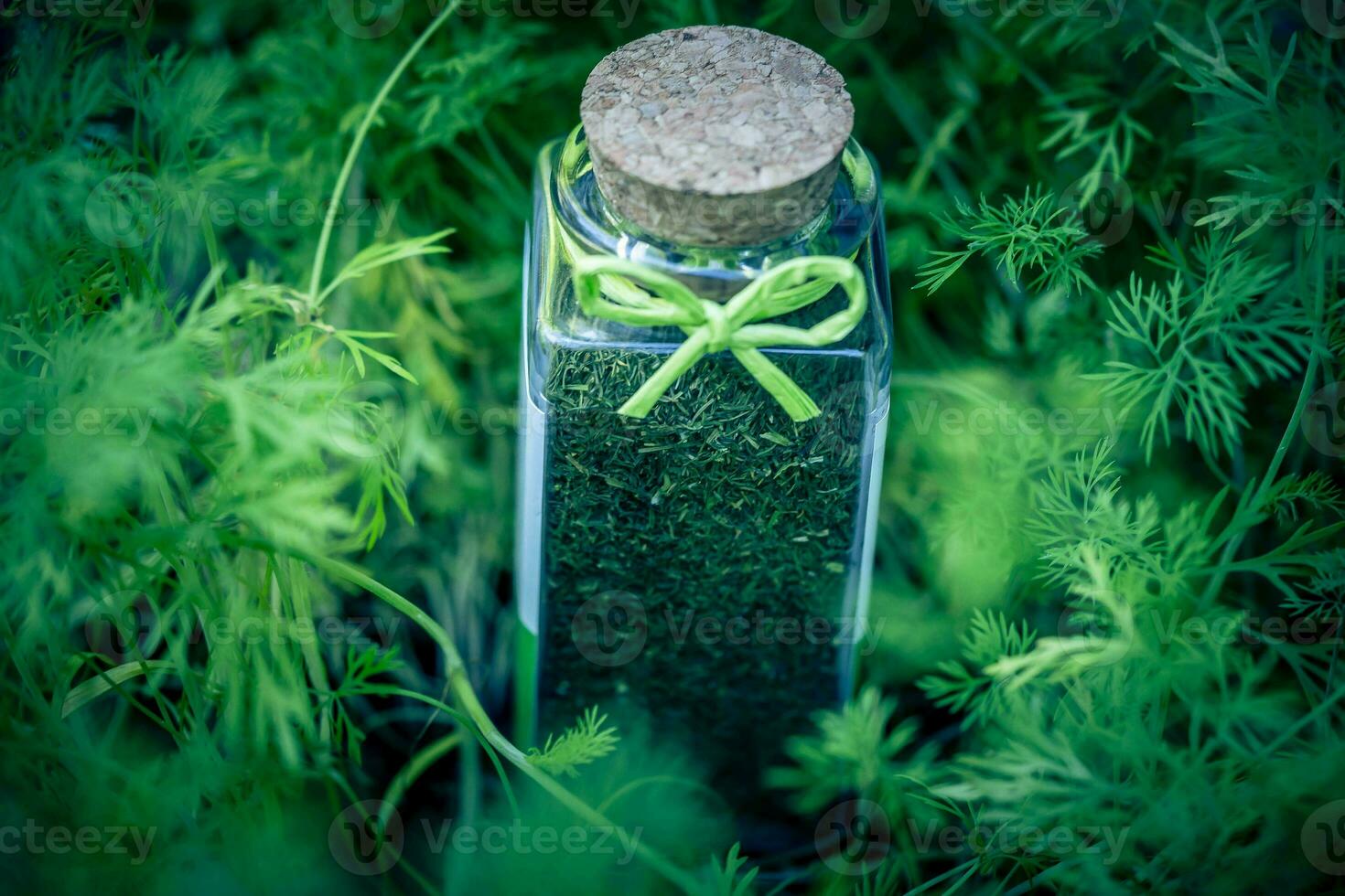 Dill Anethum graveolens on olive wood photo