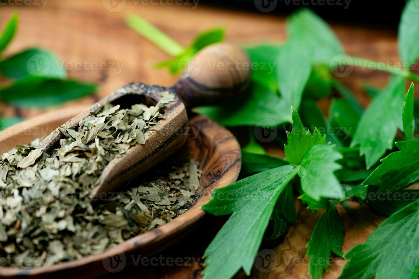 Leaves of the lovage plant Levisticum officinale fresh and dried photo