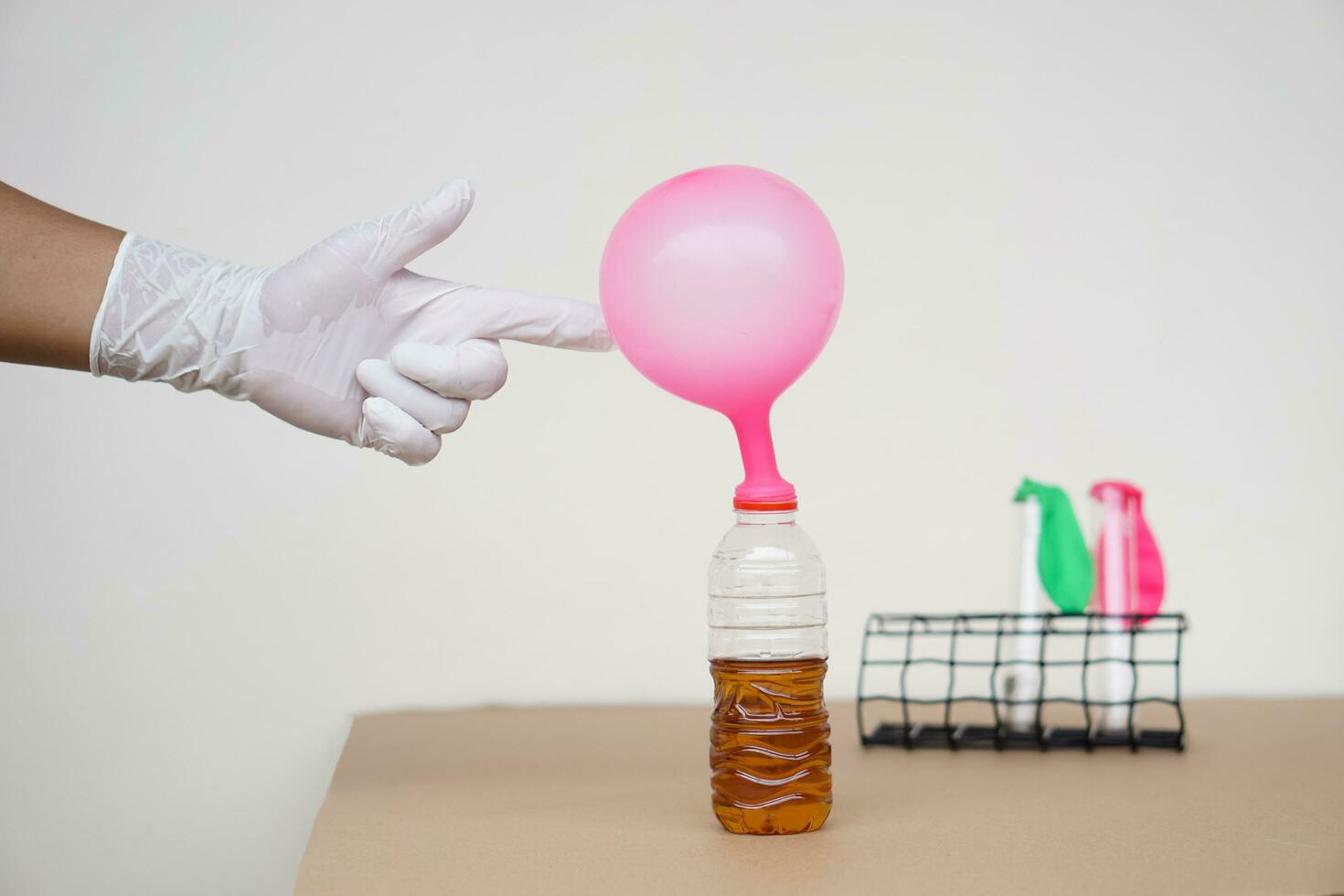 Hand points  to pink inflated balloons on top of transparent test bottles.Mix soft drink with baking soda powder  in bottle. Concept, science experiment about reaction of chemical substance. photo