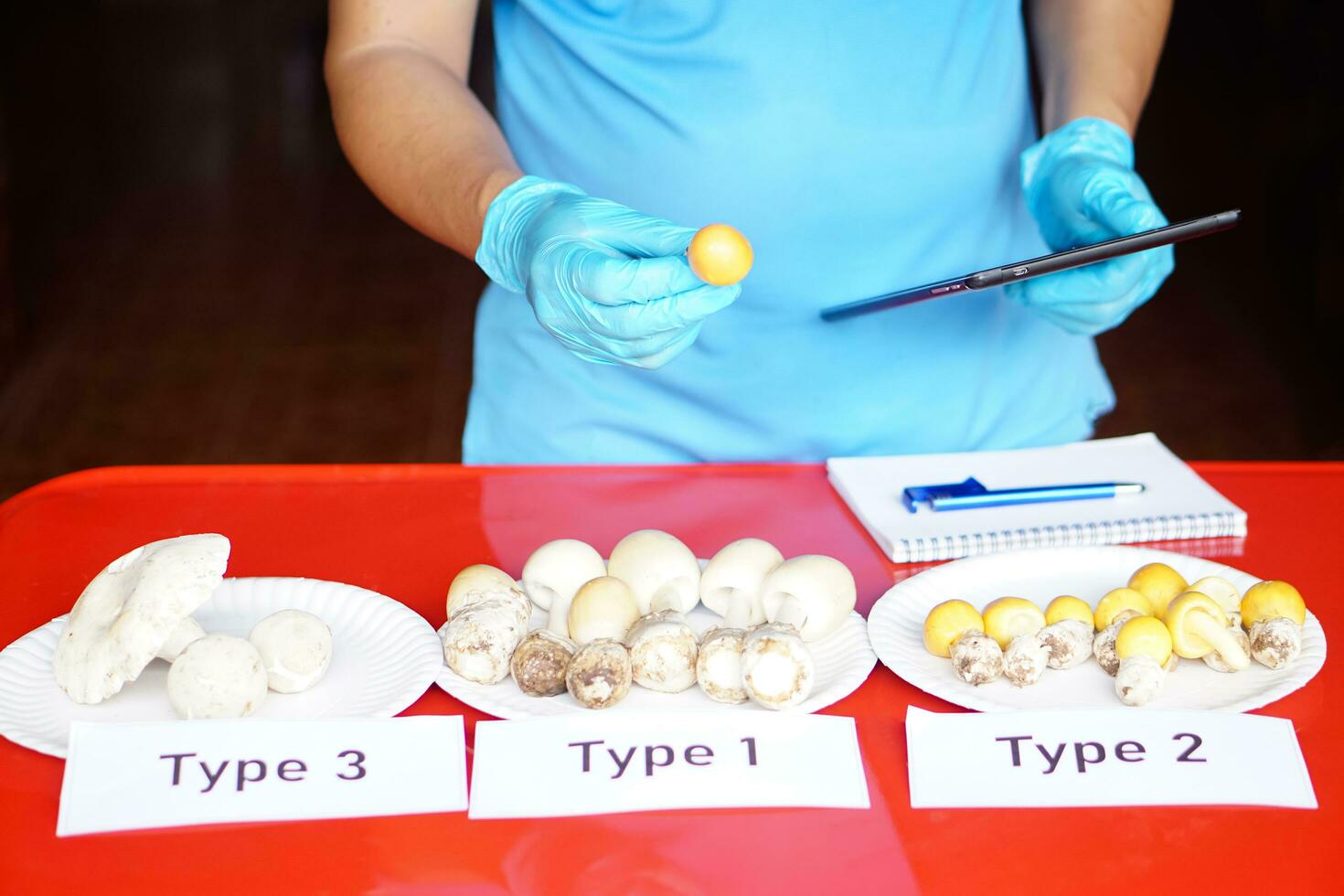 investigador es haciendo investigación, comparando tipos de comestible salvaje hongos. cheque desde Internet. concepto, estudiar, investigación acerca de hongos cuales crecer en bosque en tailandia foto