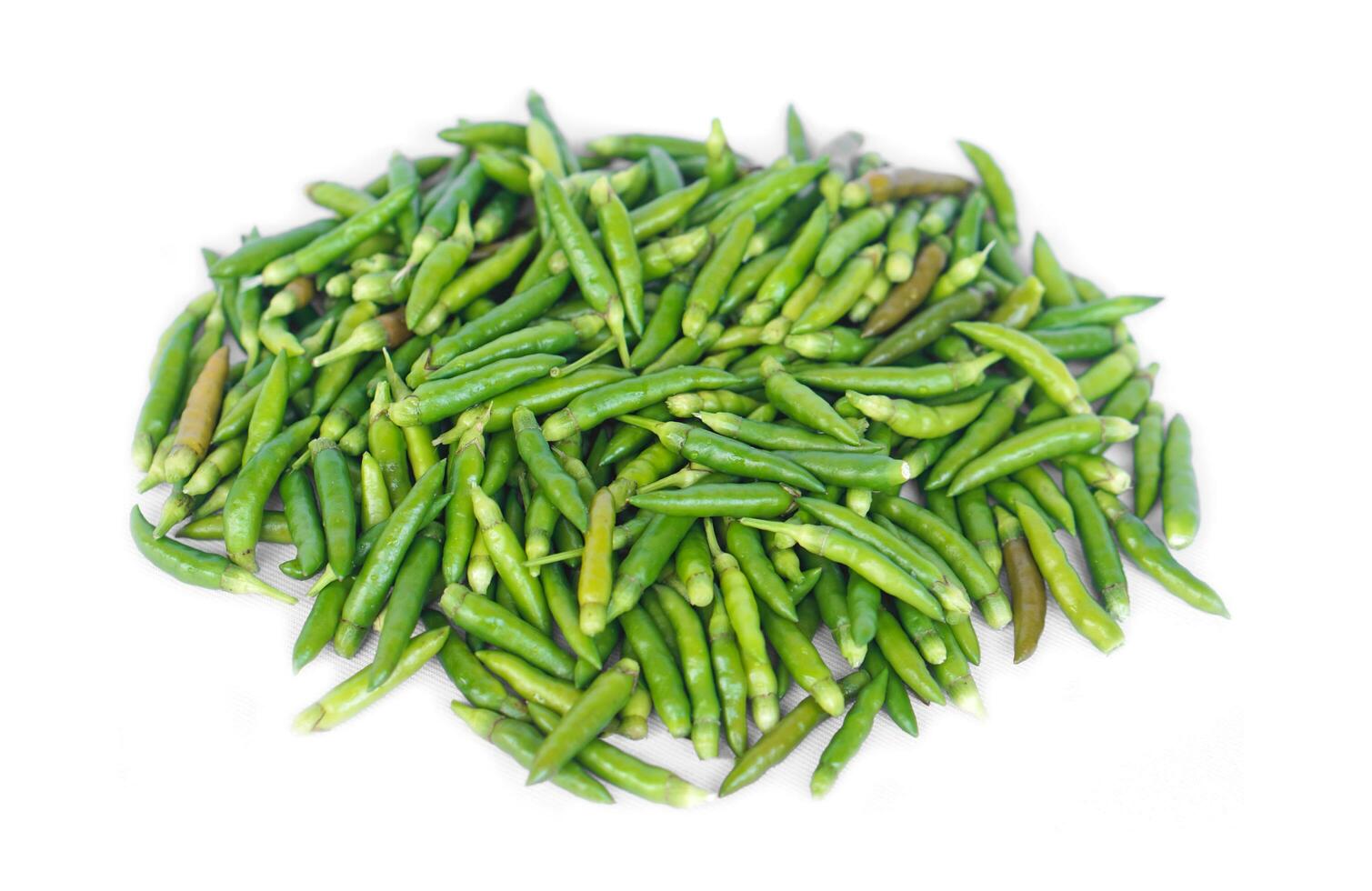 Green chillies isolated on white background. Concept, food ingredient for seasoning with hot and spicy taste of food. Medicinal property. Medicine from nature vegetables. Thai hot chillies. photo